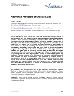 Alternative Attractors of Shallow Lakes