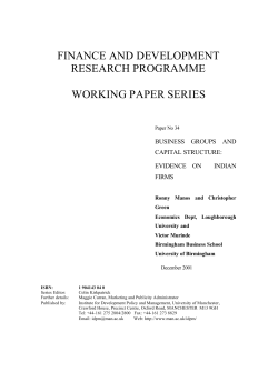 Business Groups and Capital Structure
