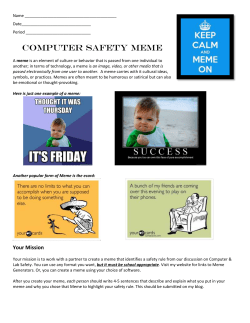 Computer Safety MEME