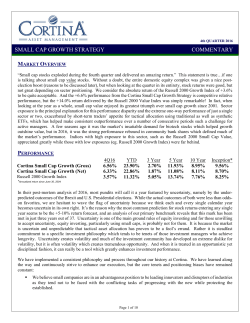 small cap growth strategy commentary