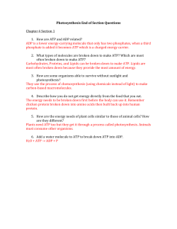 Chapter 4 Sections 1, 2, and 3 section questions