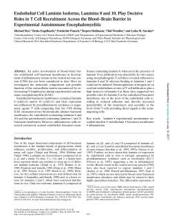 Endothelial Cell Laminin Isoforms, Laminins 8 and 10, Play Decisive