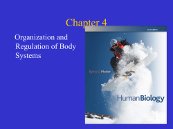Chapter 4 - Daniela Sartori