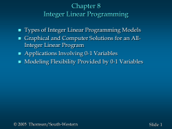 Integer Linear Programming Problem