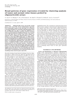 Broad patterns of gene expression revealed by clustering analysis of