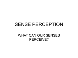 SENSE PERCEPTION