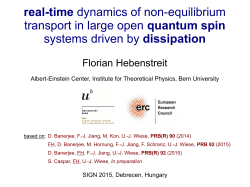 real-time dynamics of non-equilibrium transport in large open