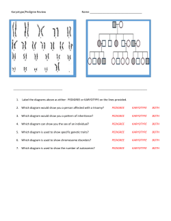 Genetics Test Review Stations