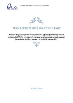 terms of refrence for consultant