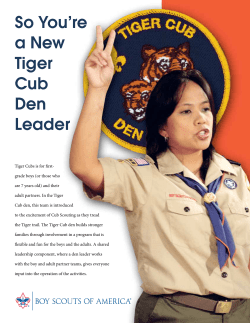 So You`re a New Tiger Cub Den Leader