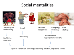 Social mentalities