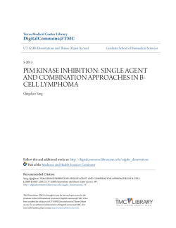 pim kinase inhibition: single agent and
