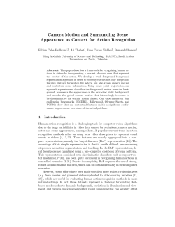 Camera Motion and Surrounding Scene Appearance as Context for