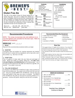 Gluten Free Ale