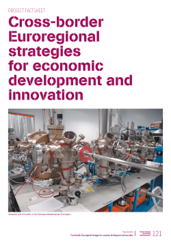 Cross-border Euroregional strategies for economic development