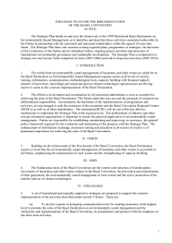 draft strategic plan for the implementation