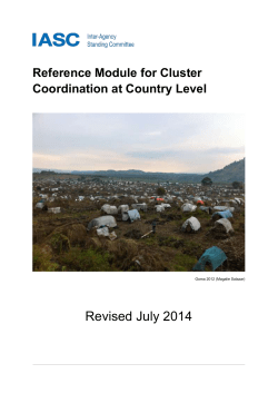 Reference Module for Cluster Coordination at Country Level – IASC