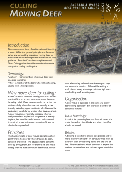 Moving deer - The Deer Initiative