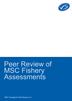 MSC Peer Review Template v2.1