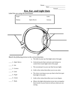 Eye, Ear, Sound, and Light Quiz