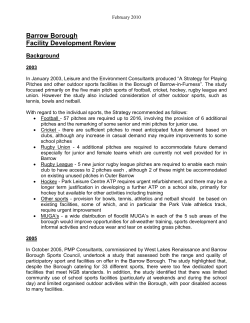 Playing Pitch Strategy Project Overview Document