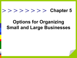 Chapter 5: Options for Organizing Small and Large Businesses.