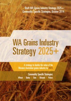 Draft WA Grains Industry Strategy 2025+: Commodity Specific