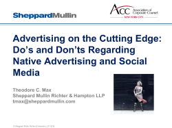 policing the internet and shutting down online infringers and