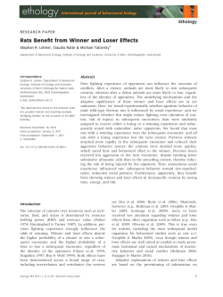 Rats Benefit from Winner and Loser Effects