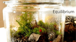 Equilibrium - Red Hook Central Schools