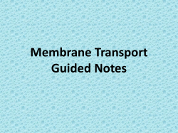 Membrane Transport Guided Notes