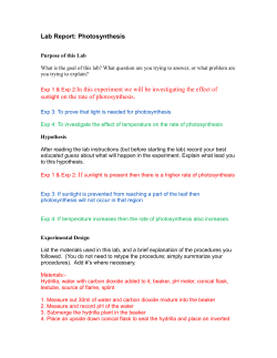 Lab Report: Photosynthesis