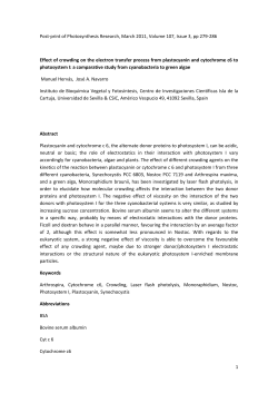 Post-print of Photosynthesis Research, March 2011, Volume 107