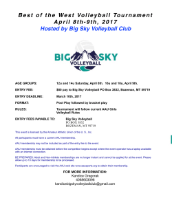 Best of the West Flyer