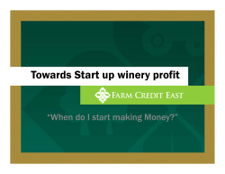 Towards Start up winery profit