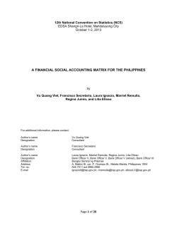 a financial social accounting matrix for the philippines