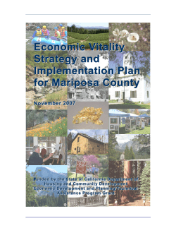 Economic Vitality Strategy and Implementation