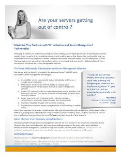 Maximize Your Business with Virtualization and Server Management