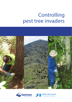 Controlling pest tree invaders