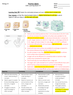 Cell membrane