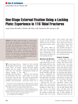 One-Stage External Fixation Using a Locking Plate