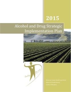Alcohol and Drug Strategic Implementation Plan