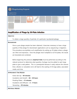 Amplification_of_Phage_by_30-Plate_Infection_6