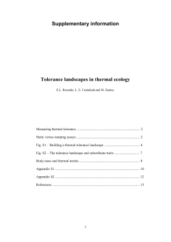 Supporting Information