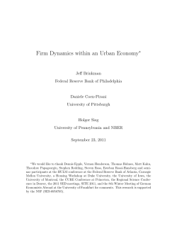 Firm Dynamics within an Urban Economy