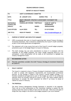 Draft Treasury Strategy and Investment Statement