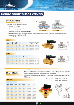 Sagiv control ball valves