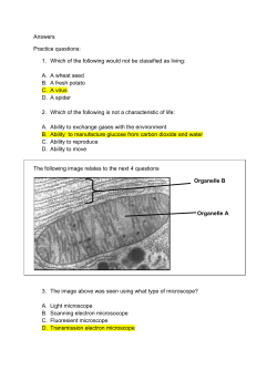 Test 1 Practise Questions Suggested Answers