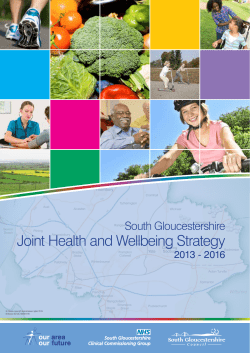 Joint Health and Wellbeing Strategy