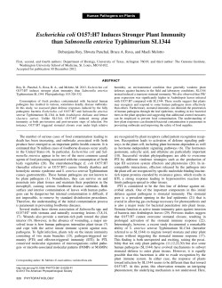 Escherichia coli O157:H7 Induces Stronger Plant Immunity than